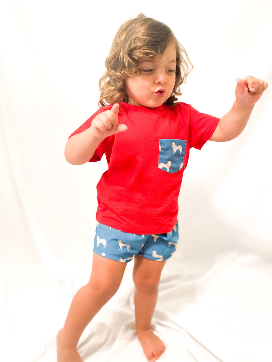 Boy Dog Print Shorts Set The Trendy Toddler Smocked